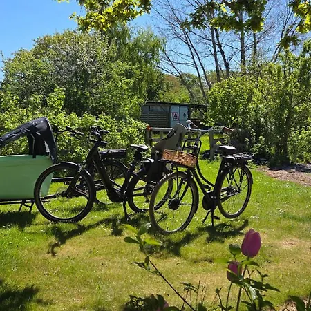 Fuglsang Langeland Tranekaer