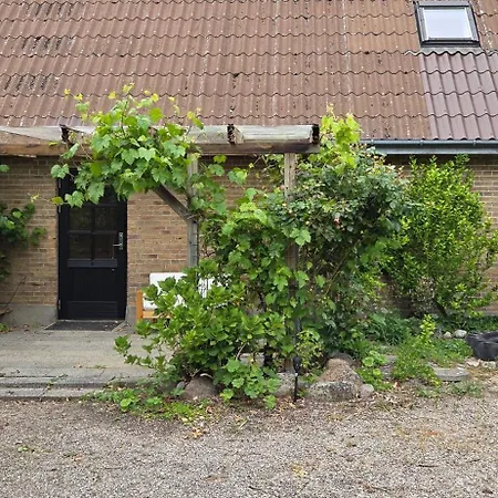 Apartament Fuglsang Langeland *