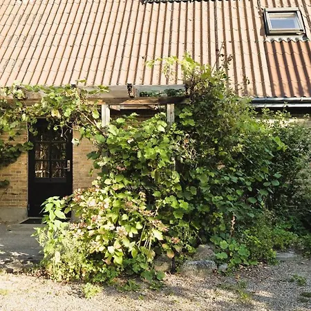 Fuglsang Langeland * Tranekaer
